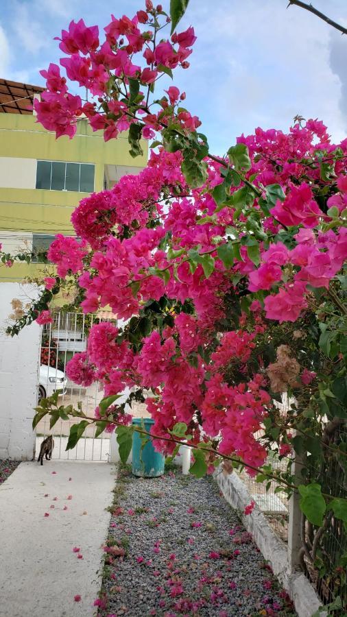Solar Teixeira Flats Hotel ปอร์โต จิ กาลินญาส ภายนอก รูปภาพ